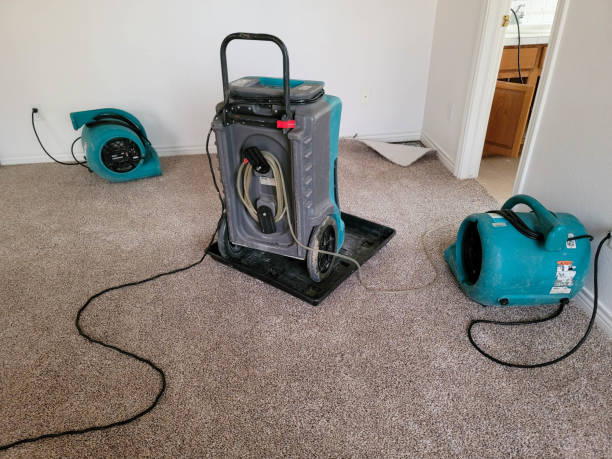 Best Flood damage cleanup  in Dogtown, CA