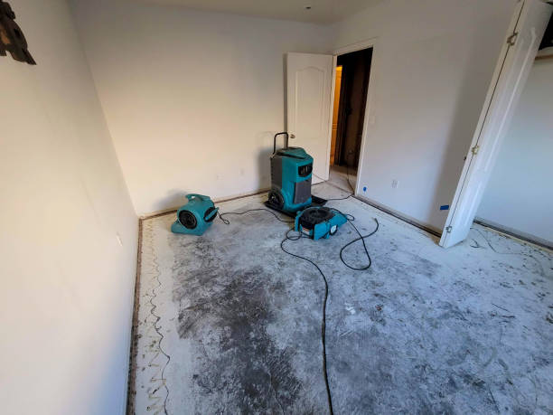Best Water damage restoration mold remediation  in Dogtown, CA