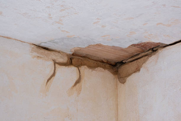 Best Flood restoration services  in Dogtown, CA