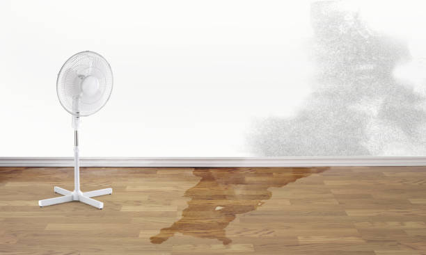 Best Flood restoration services  in Dogtown, CA