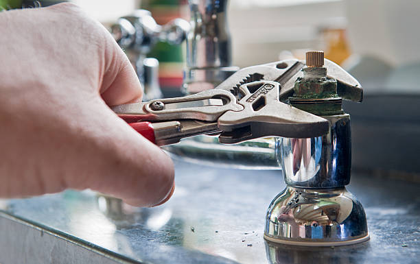 Best Water damage cleanup near me  in Dogtown, CA