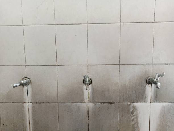 Best Water damage restoration experts  in Dogtown, CA