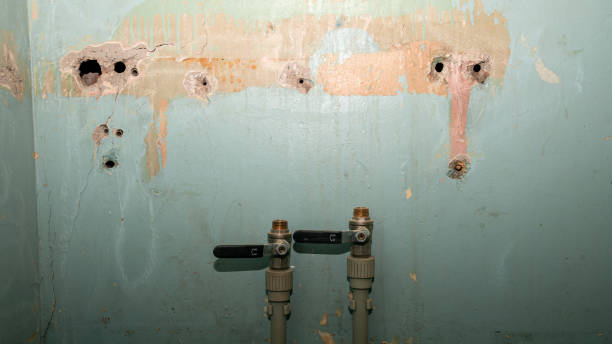 Best Local water damage restoration  in Dogtown, CA