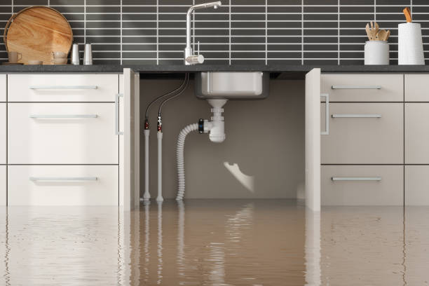 Best Mold removal after water damage  in Dogtown, CA