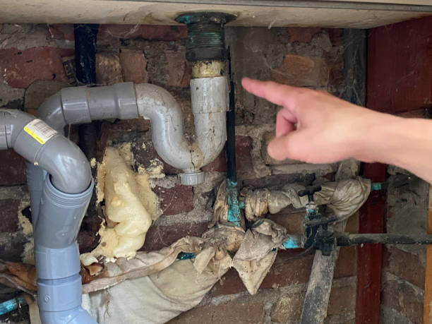  Dogtown, CA Water damage restoration Pros
