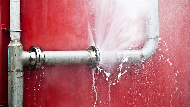 Best Fire Damage Restoration  in Dogtown, CA